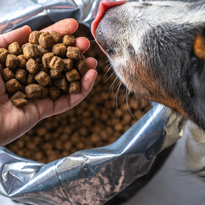 themenwelt bubblenavi futter menge 412x412